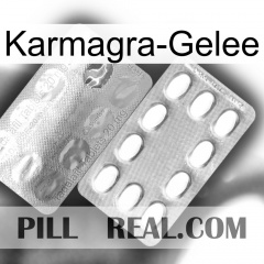 Karmagra Jelly new13